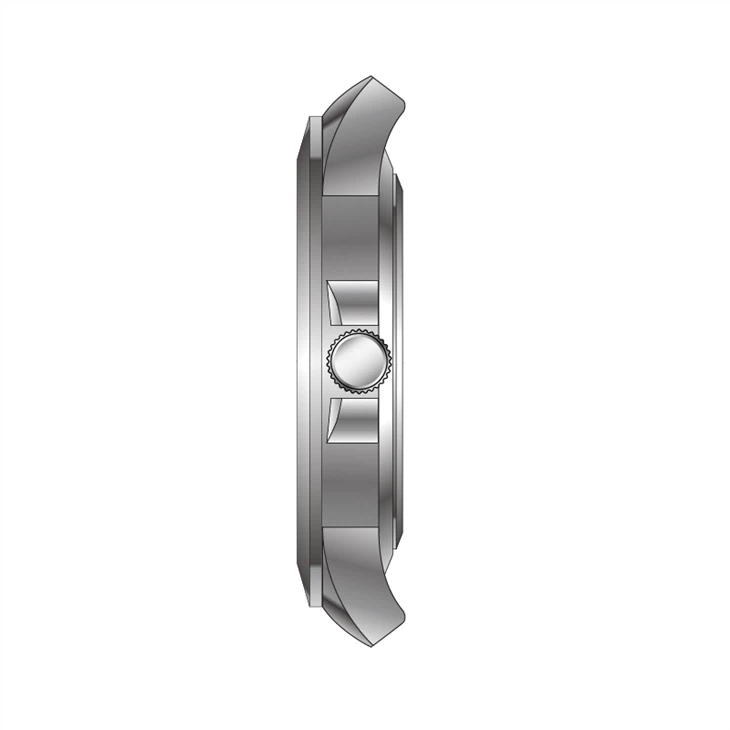Classic Seamaster Watch